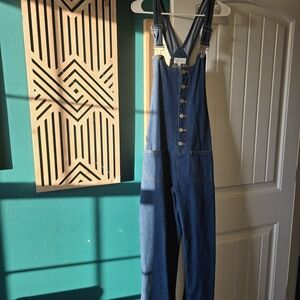 Stylish Blue Denim Overalls